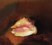Odilon Redon The Shell Norge oil painting reproduction